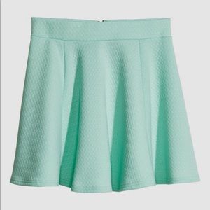 Mint Green Circle Skirt